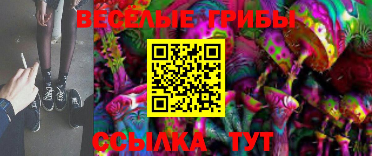 Егорьевск  Псилоцибиновые грибы мухоморы  Вход с VPN 